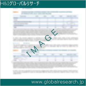 グローバルリサーチ調査レポートのイメージ